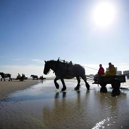 In Near & Marina * Nieuwpoort