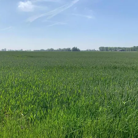 Daire In Near & Marina *