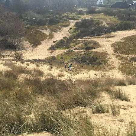 In Near & Marina Daire