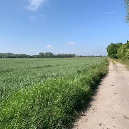 In Near & Marina Nieuwpoort