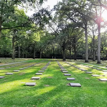 In Near & Marina Daire